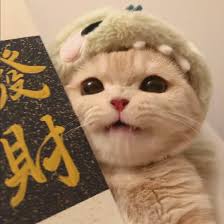 Ảnh đại diện của Người Dùng Mai